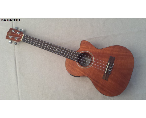 Kala électro  KA GATEC 