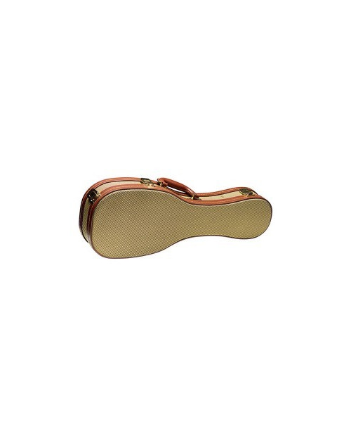 Hard case BARYTON stagg